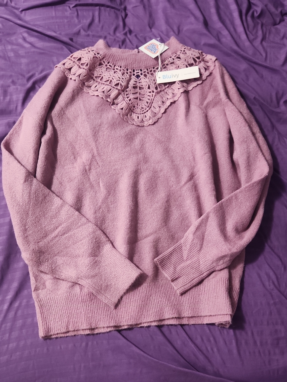 Bluivy Lace Yoke Crewneck Sweater - Mauve Rusty Pink
